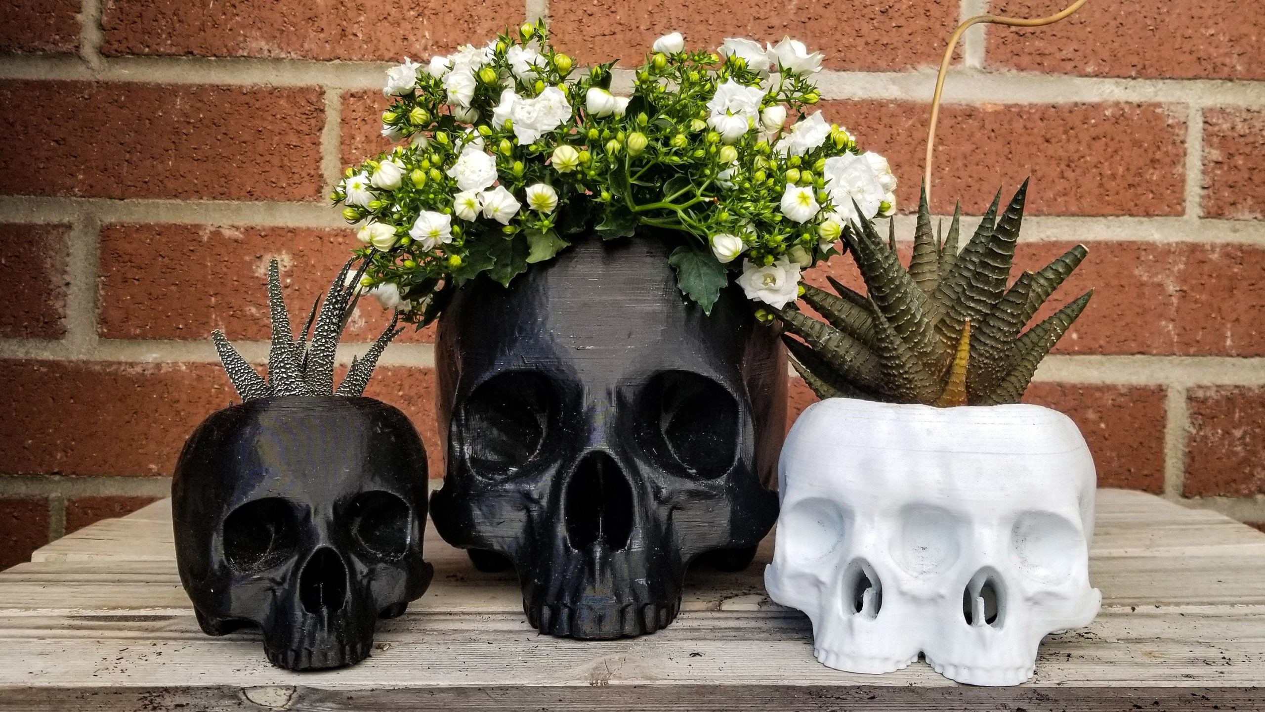 Large Skull Planter • Gothic Home Garden Decor • 3D Printed
