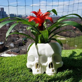 Large Conjoined Skull Planter • Gothic Home Garden Decor • 3D Printed