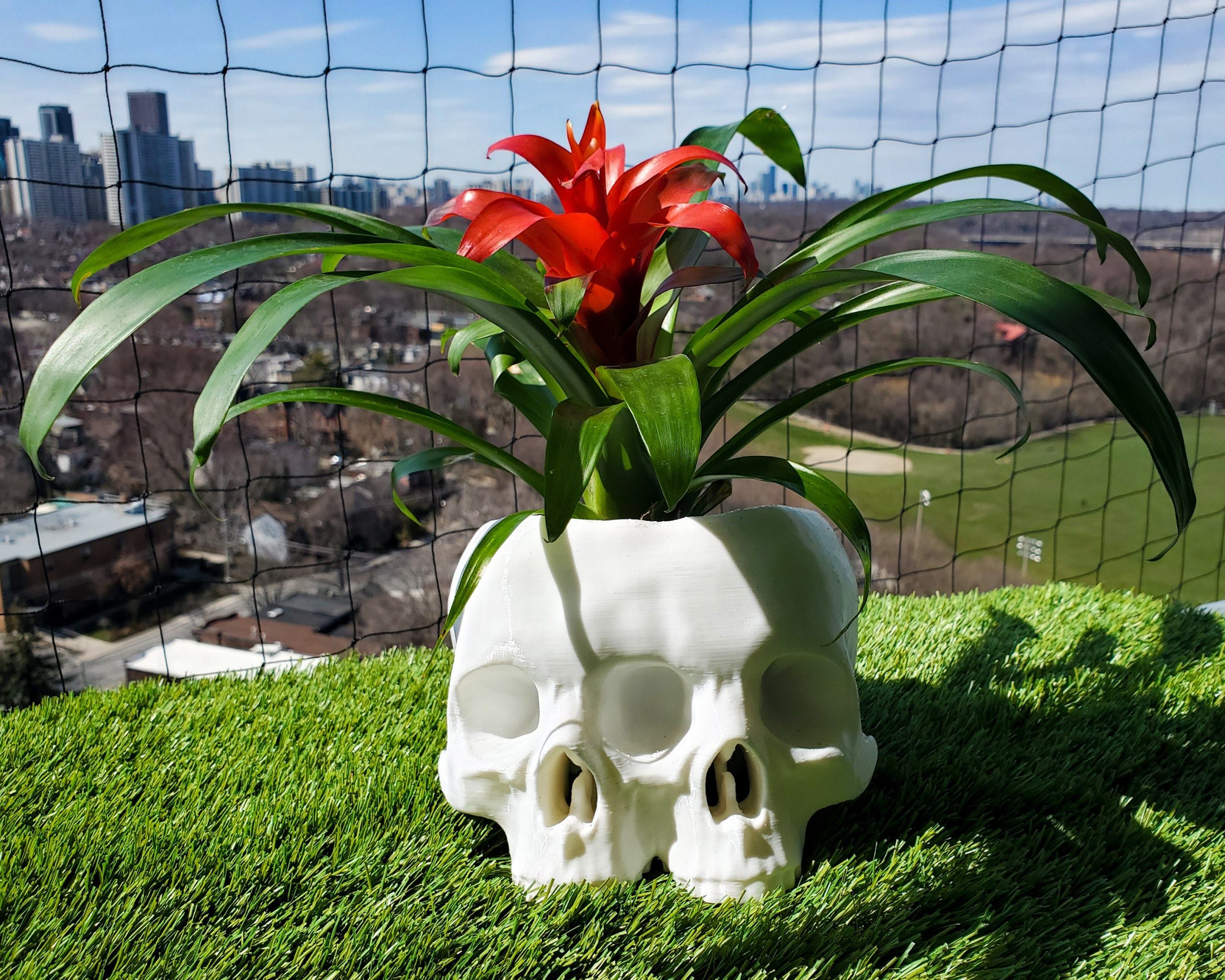 Large Conjoined Skull Planter • Gothic Home Garden Decor • 3D Printed